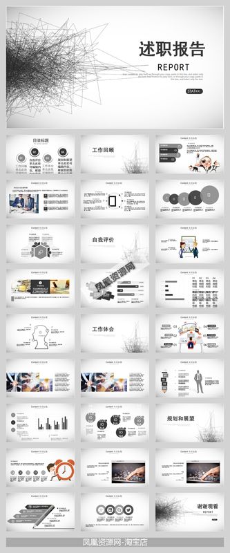 国际简洁述职报告模板